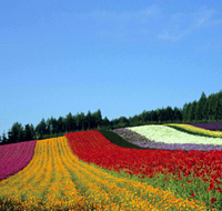 JR Hokkaido Rail Pass